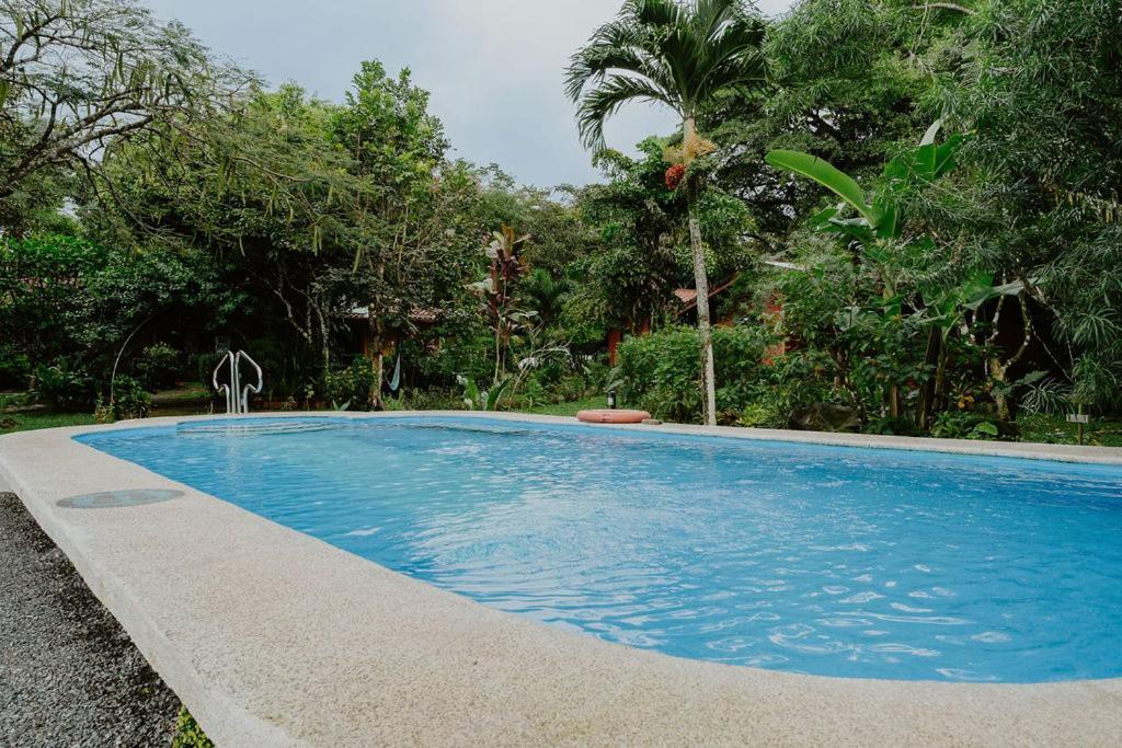 Lodge Mirador - Great Swimming Pool - Kitchen - Bbq - Netflix Tajo Alto Ngoại thất bức ảnh